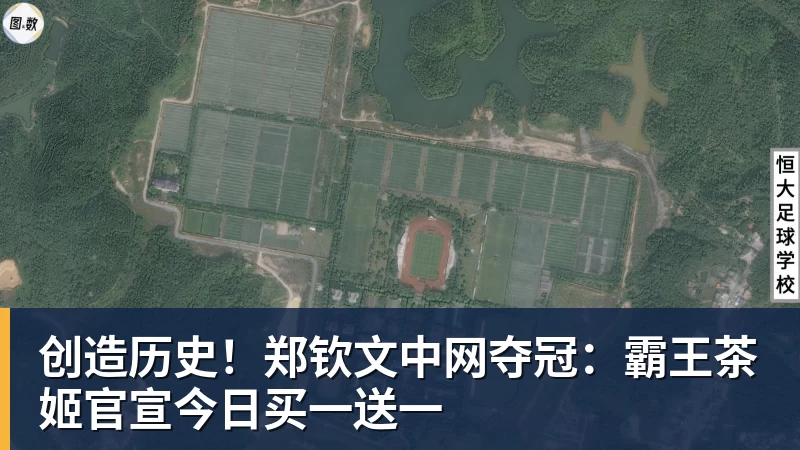 创造历史!郑钦文中网夺冠:霸王茶姬官宣今日买一送一